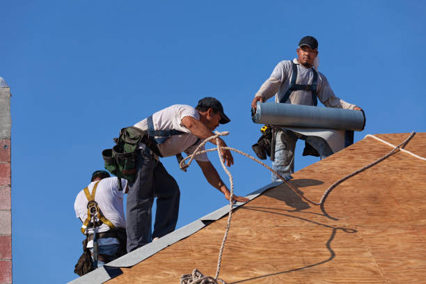 Best Roofing Contractor Near Me  in Monroe, OH